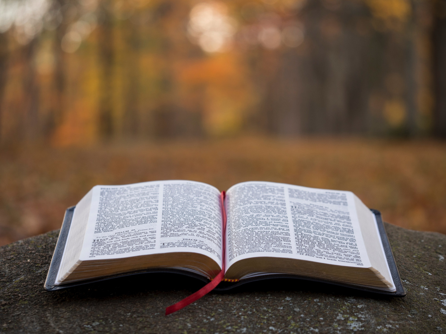 An open Bible