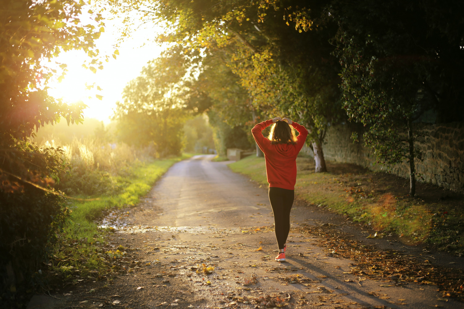 A person walking down a country lane