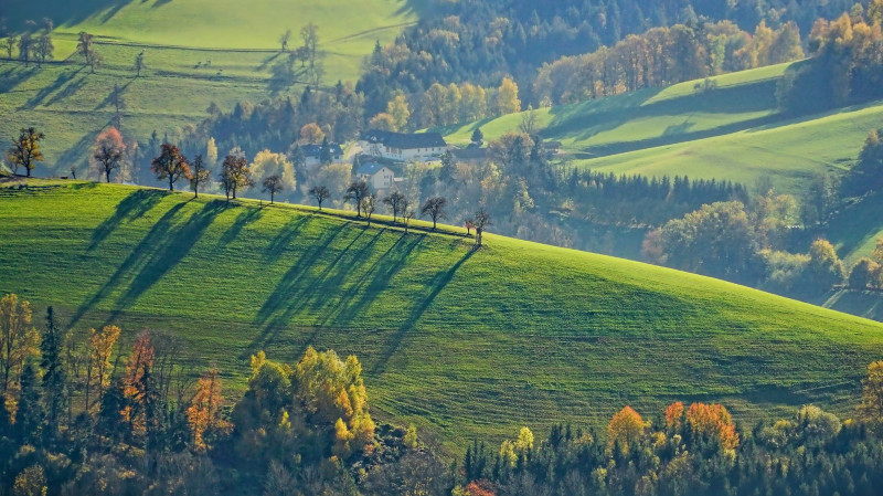 Countryside grassy hills with wooded areas 