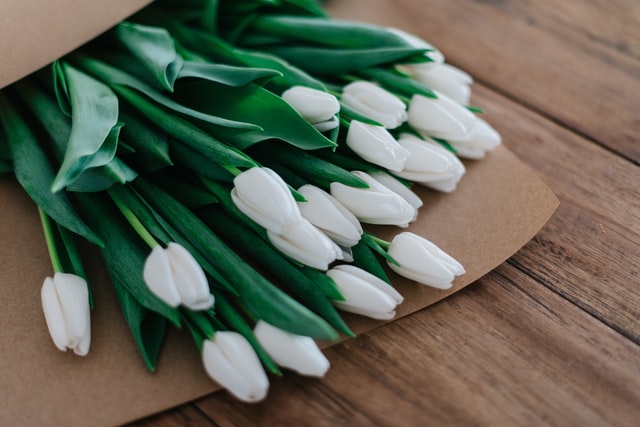 A bunch of white tulips 