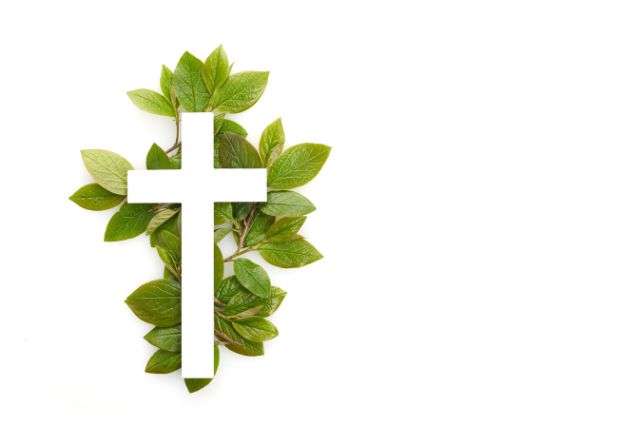 a white cross lying on leaves
